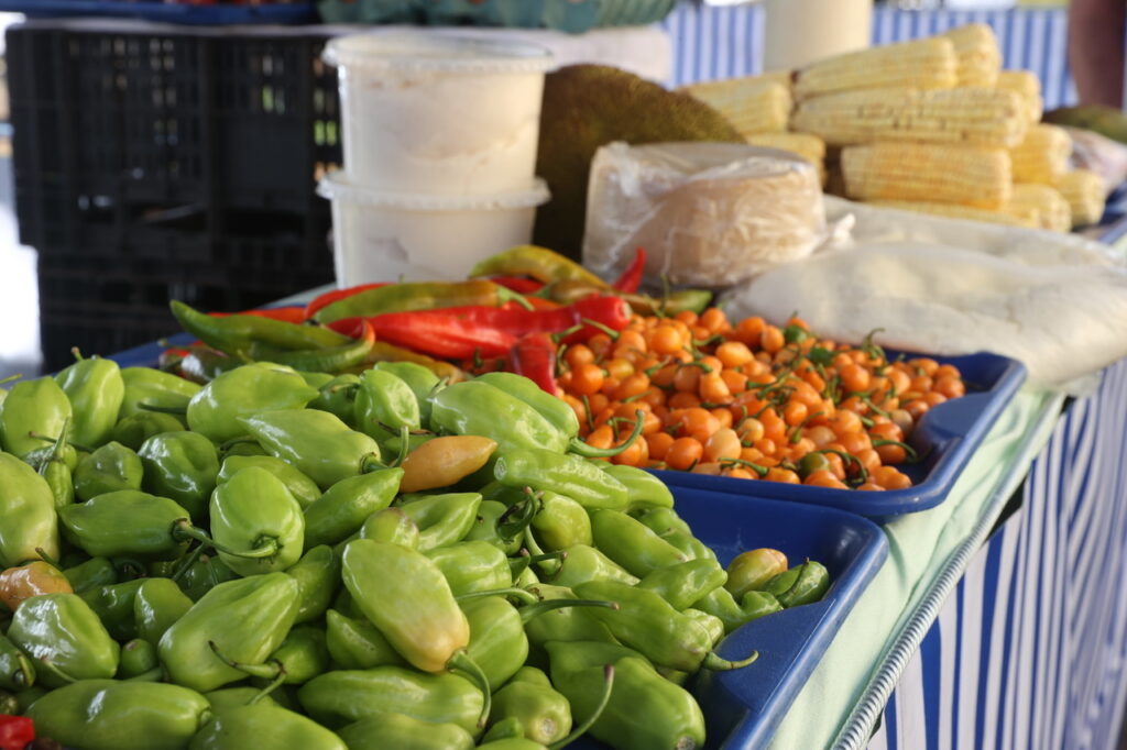 Parque do Sabiá recebe primeira edição de março da Feira Novo Agro nesta terça (3)