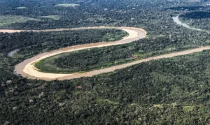 Holanda anuncia US$ 500 milhões em fundo florestal criado pelo Brasil